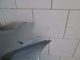 DESNA STRANICA OSTECENA