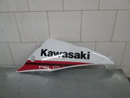 DESNA DONJA STRANICA