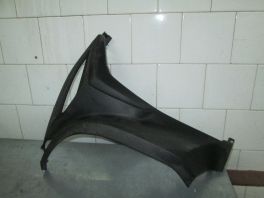 LEVA STRANICA OSTECENA