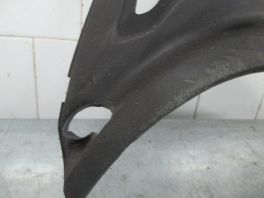 LEVA STRANICA OSTECENA