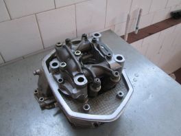 GLAVA SA BREGASTOM OSTECENA