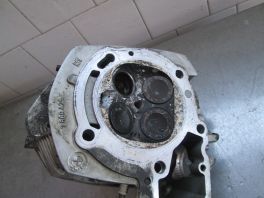 GLAVA SA BREGASTOM OSTECENA