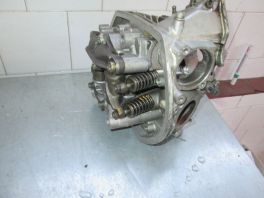 GLAVA SA BREGASTOM OSTECENA